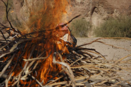 wadi rum 353