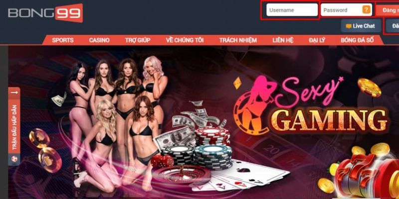 So sánh nhà cái Nhatvip và Bong99 chi tiết nhất